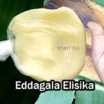 kojja kansiiwa